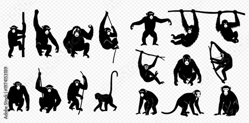 Set of various monkey and ape silhouettes in different poses, including sitting, standing, and hanging, representing diverse primate species.