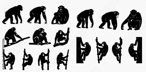 Set of chimpanzee silhouettes in various poses including walking, sitting, and climbing, isolated on a transparent background.