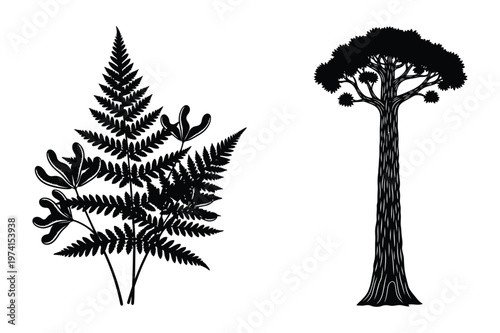 Black and white vector illustration of a fern leaf and a tall coniferous tree