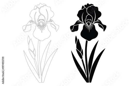 Comparison of iris flower silhouettes in outline and solid black vector styles