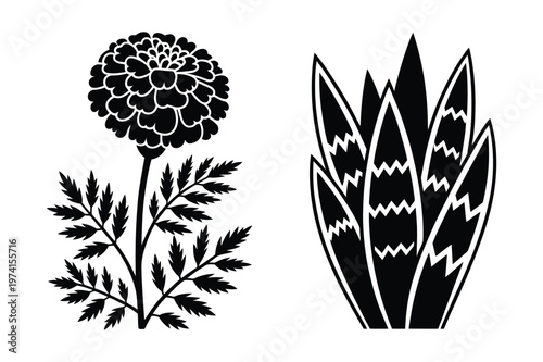Botanical silhouettes of a marigold flower and a succulent snake plant leaf