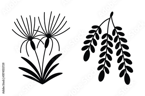 Wild grass and leafy branch silhouette vector graphic with dandelion, silhouette
