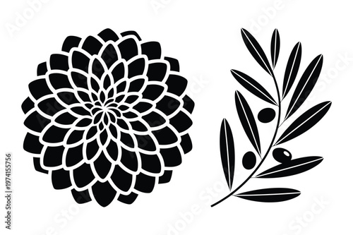 Dahlia bloom and olive branch silhouette vector illustration with silhouette