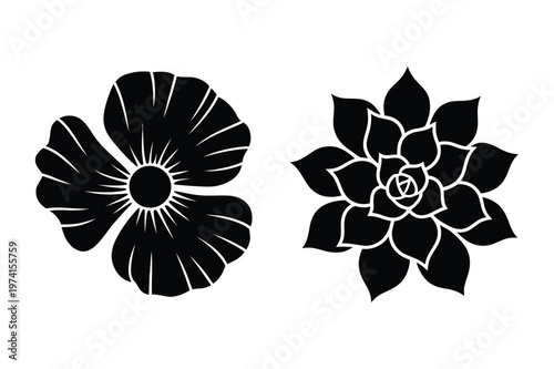 Poppy flower and succulent rosette silhouette vector set with succulent