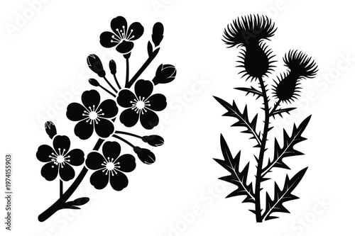 Black silhouette stencils of flowering branch and wild thistle plant vector