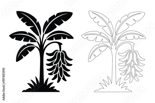 Banana tree silhouette and dotted outline stencil vector illustration
