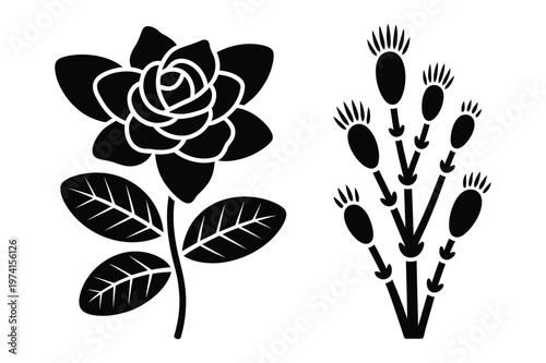 Rose and seed pod plant silhouette vector illustration with silhouette, isolated