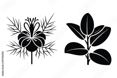 Nigella flower and ficus leaf branch silhouette vector with silhouette, isolated