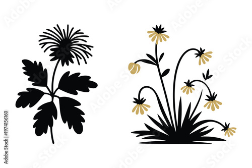 Wild thistle and yellow daisy flower silhouette vector set with silhouette