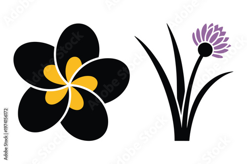 Stylized plumeria and allium flower vector illustration graphic with plumeria