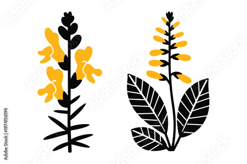 Yellow wildflowers and botanical leaf stem vector illustration set with isolated