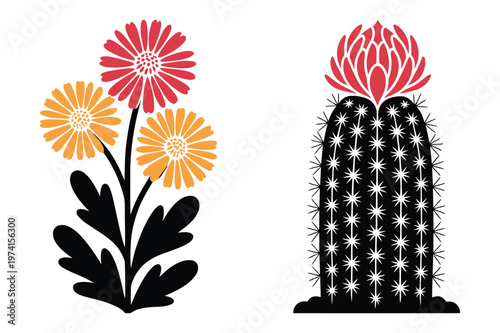 Floral daisy vector collection and flowering prickly cactus silhouette