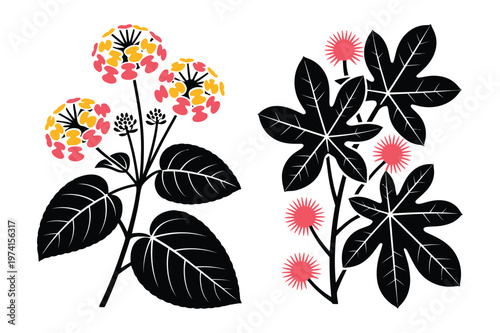 Vector botanical art featuring lantana flowers and castor bean plant elements