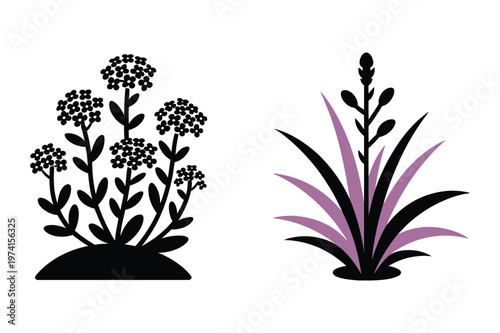 Stylized plant illustrations of field flowers and purple grass stalk vector