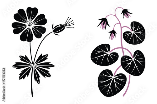 Floral vector set with black wildflower silhouette and pink bell blossoms