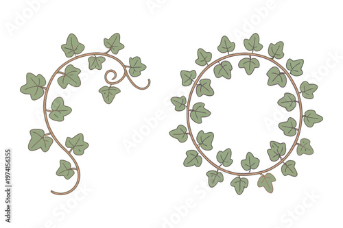 Green ivy climbing vine border and circular wreath leaf vector illustration
