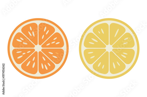 Citrus fruit cross section with orange and lemon slices vector illustration