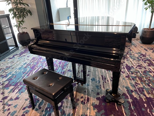 広くて明るい部屋にあるグランドピアノ