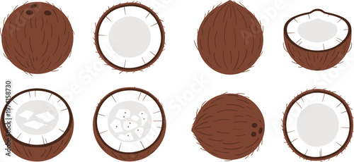 Fresh  organic coconut set collection with whole nuts and half pieces with milk and water vecfruit set with whole nut and half sliced pieces with milk vector illustration isolated on white 