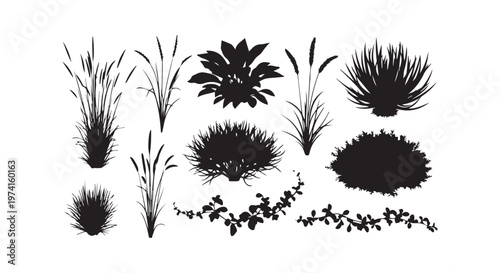 elegant black and white floral design showcasing delicate petals and leaves for artistic inspiration