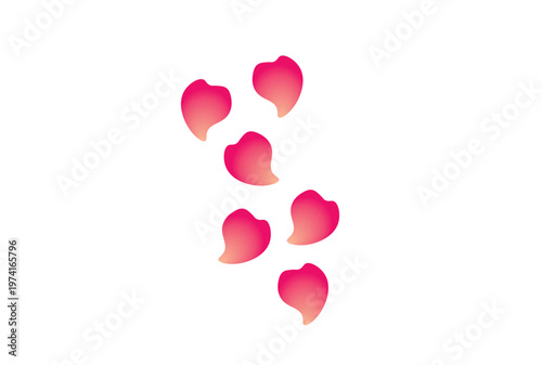 グラデーションのバラの花びら