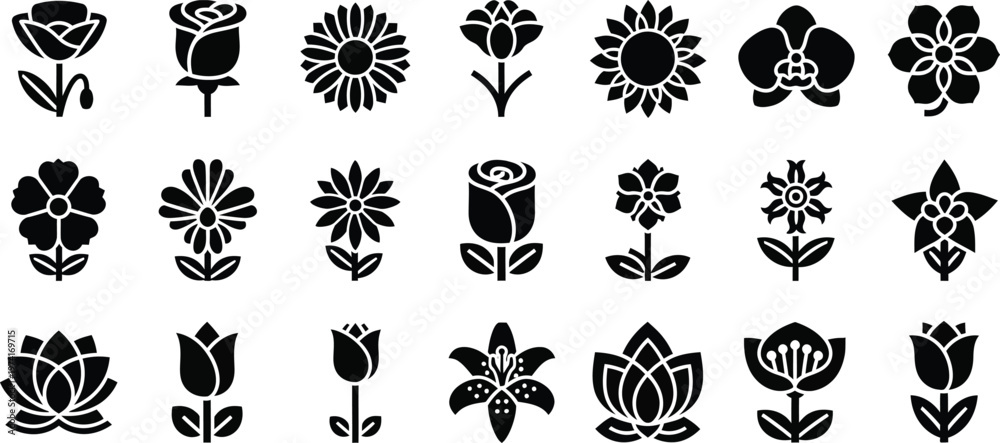 Fototapeta premium Black and white floral flowers silhouettes