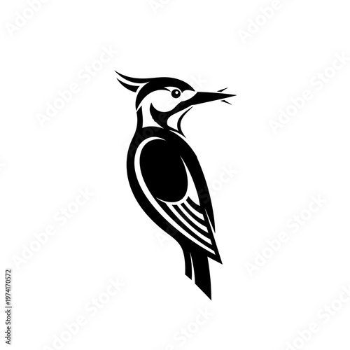 Black and white woodpecker bird illustration.