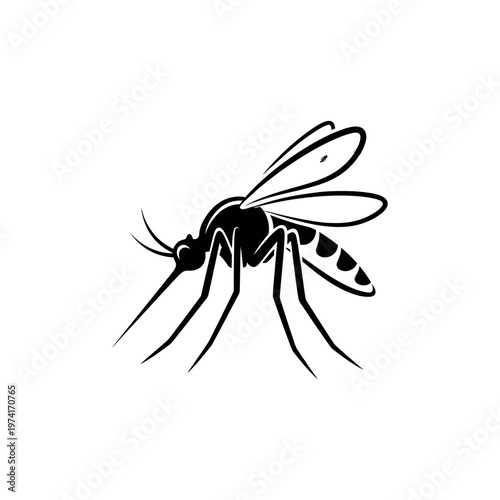 Black mosquito insect close up.