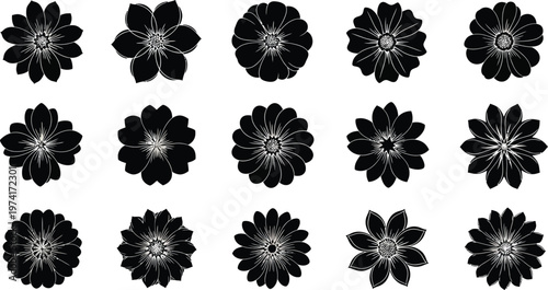 Black and white flowers on white background floral shapes