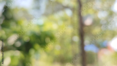 green bokeh background from nature under tree shade, defocused