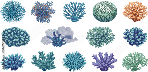 Colorful Coral Reef Illustration Set Featuring Diverse Marine Coral Shapes, Ocean Flora Elements, and Underwater Ecosystem Design Collection