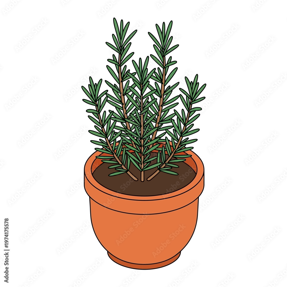 Obraz premium A potted plant with green leaves.