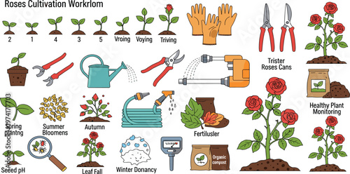 Rose Cultivation Workflow Illustration Set Featuring Planting Stages, Gardening Tools, Seasonal Growth Phases, Fertilizing, Pruning, and Healthy Plant Monitoring Process