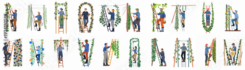 Collection of flat vector illustrations depicting diverse hop farmers and workers harvesting, pruning, and inspecting hops on ladders in a commercial hop garden.