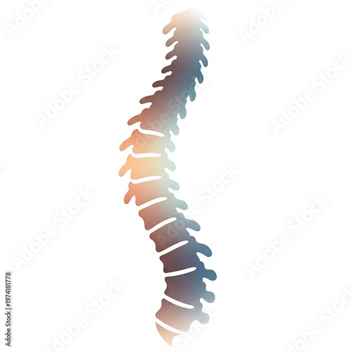 Abstract Colorful Human Spine Anatomy Illustration.