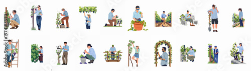 A comprehensive collection of flat vector illustrations featuring diverse men and women performing various viticulture tasks and harvesting grapes in a vineyard setting.