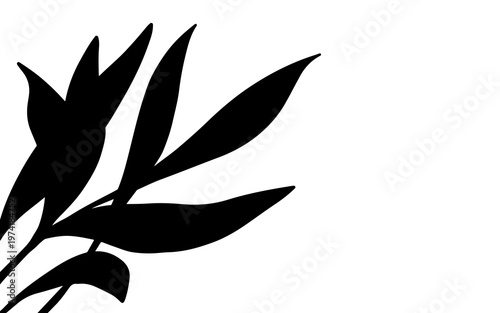 Black silhouette of several long, slender leaves on a branch against a stark white background, creating a minimalist botanical design.