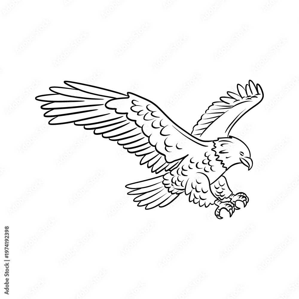 Fototapeta premium Line Art Eagle In Flight
