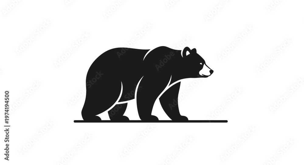 Fototapeta premium Black bear walking profile view.