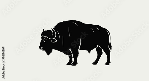 Black bison standing profile view.