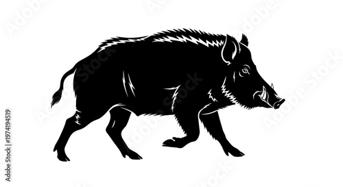Black boar walking side profile view.