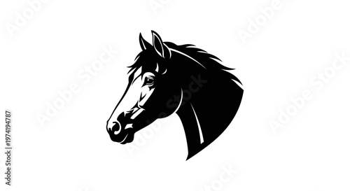 Black Horse Head Silhouette Profile View.