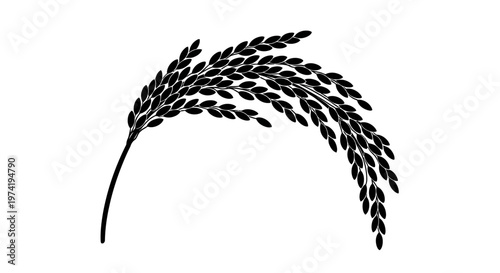 Black illustration of rice plant.