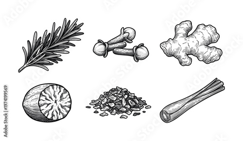 A set of vintage-style vector illustrations of spices and herbs. Includes rosemary, clove, ginger, nutmeg, and lemongrass. Perfect for menus, packaging, and culinary design.