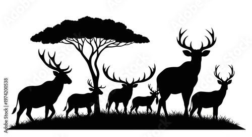 Deer Silhouettes with Large Antlers Standing.