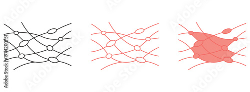 Connective tissue icon Set Multiple Style Collection. Vector illustration.