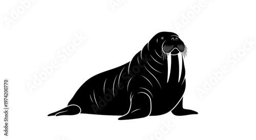 Canvastavla Black walrus with long tusks lying down.