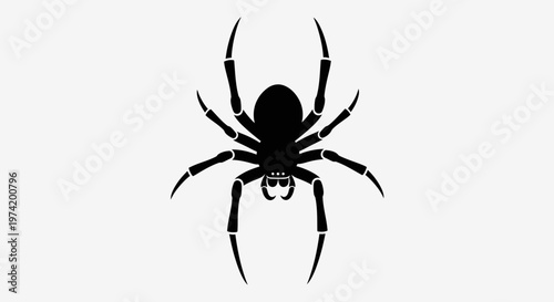 Black Widow Spider Close Up View.