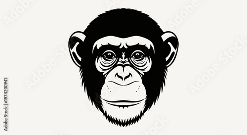 Close up of chimpanzee monkey face.