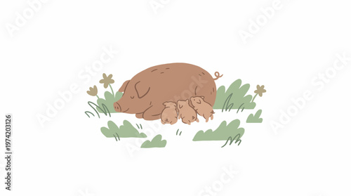 Hand drawn pig and piglets in field illustration on white background